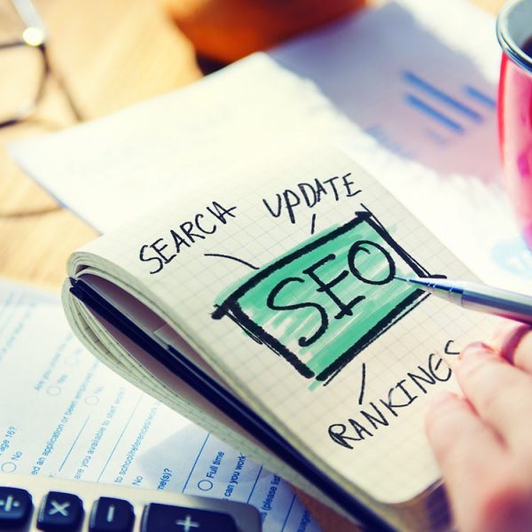 Business Seo Paketi